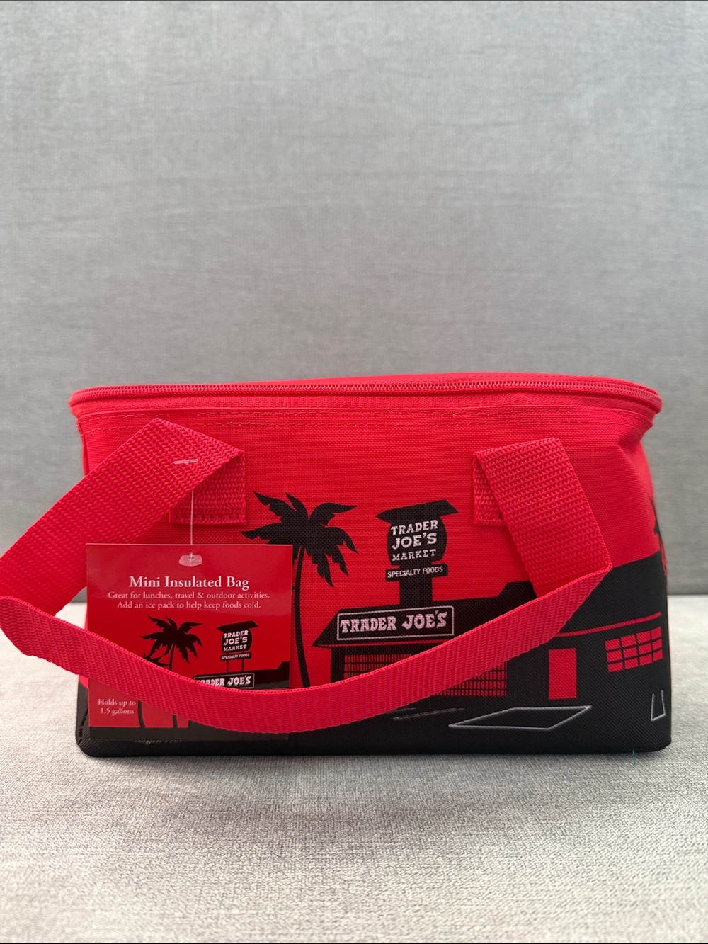 Trader Joe’s Mini Insulated Cooler bag